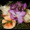 20140126_004